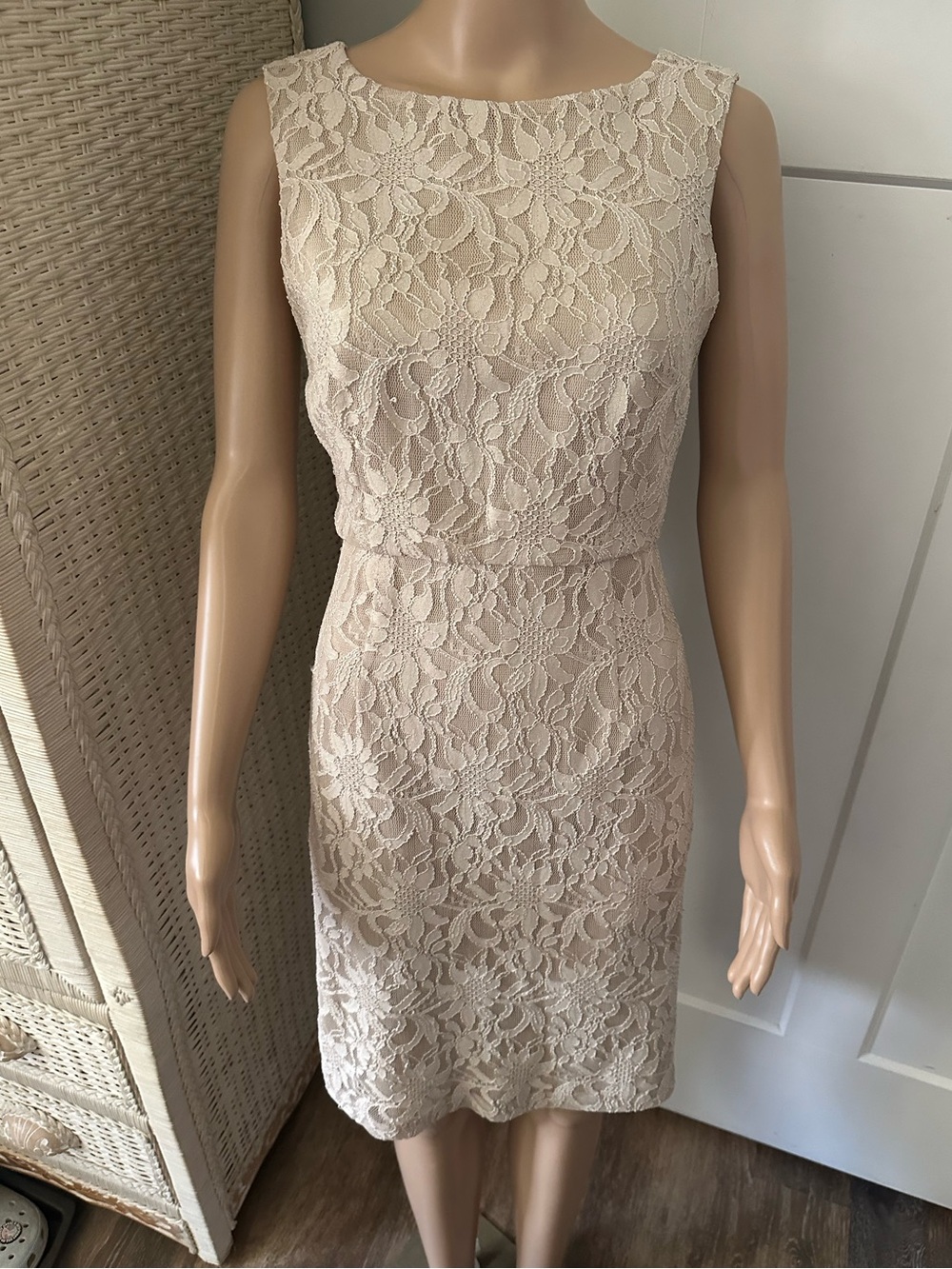 Le Chateau Lace Dress